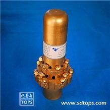 Pdc Bit
