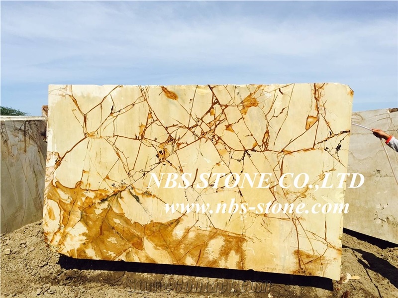 Roma Impression Quartzite Slabs,Brazil Yellow Quartzite Slabs