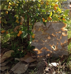 Exotic Grey Marble/Backlightable Semiprecious and Exotic Stone