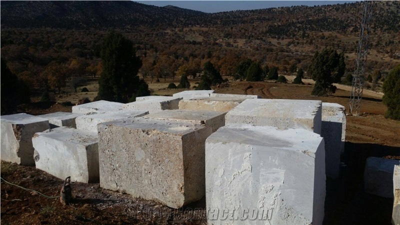 Exotic Grey Marble/Backlightable Semiprecious and Exotic Stone