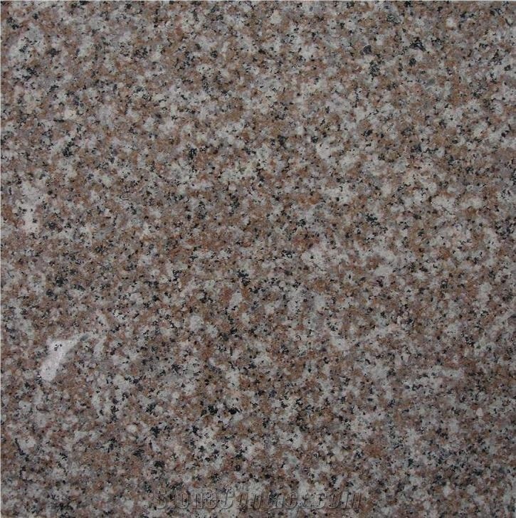 G664 Granite Slab & Tiles, China Cheap Granite