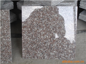G664 Granite Slab & Tiles, China Cheap Granite