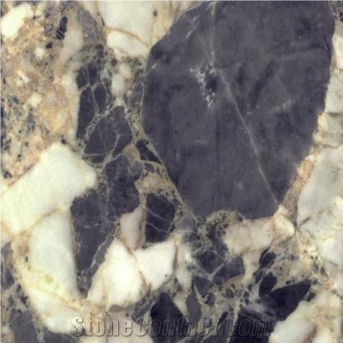 Breche Romaine Marble Tiles & Slabs, Multicolor France Marble Tiles & Slabs