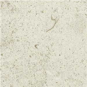 St. Nicolas Clair Limestone