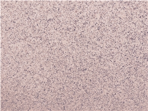 Silver White Granite Slabs & Tiles, White Portugal Granite Tiles & Slabs