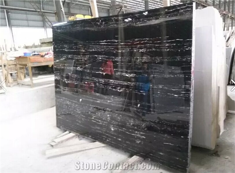 Hot Selling Silver Dragon Marble Slabs Marble Tiles with Best Quality Of the Marble Slabs