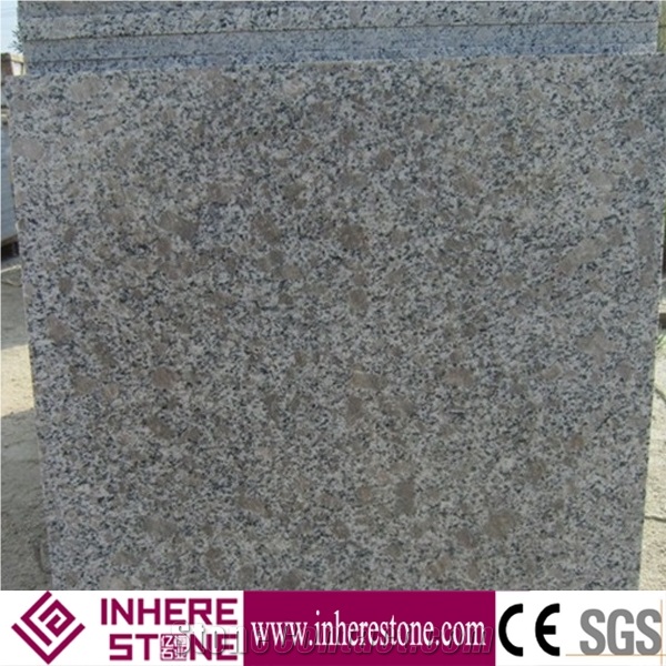 China G383 Granite Tiles & Slabs, Pearl Blossom Of Zhaoyuan Granite/Pearl Flower Granite