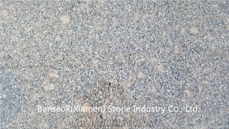Royal Palm Granite Tiles & Slabs ,China Polished Granite