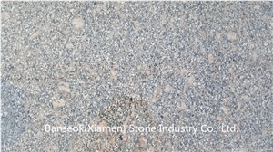 Royal Palm Granite Tiles & Slabs ,China Polished Granite