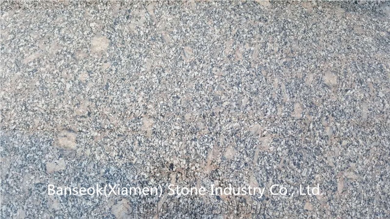 Royal Palm Granite Tiles & Slabs ,China Polished Granite