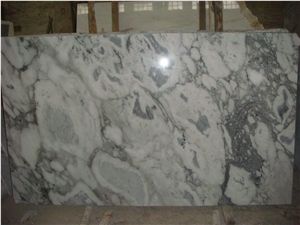 Arabescato Corchia Marble Blocks Polished Chinese Marble, Italy White Marble
