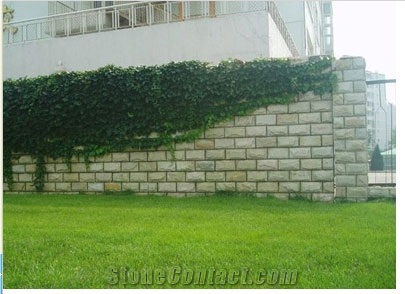 Chinese Grey Quartzite Mushroom Wall Cladding Stone