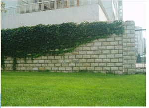 Chinese Grey Quartzite Mushroom Wall Cladding Stone