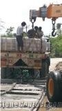 Silver Grey Slate Stone Tiles & Slabs, Ostrich Grey Slate India Tiles & Slabs