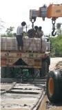 Silver Grey Slate Stone Tiles & Slabs, Ostrich Grey Slate India Tiles & Slabs