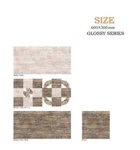 Digital Tiles, Porcelin Ceramic Tiles India