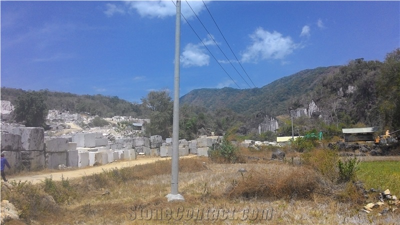 Koala Grey Marble and Creama Ratax, Grey Marble Indonesia Blocks