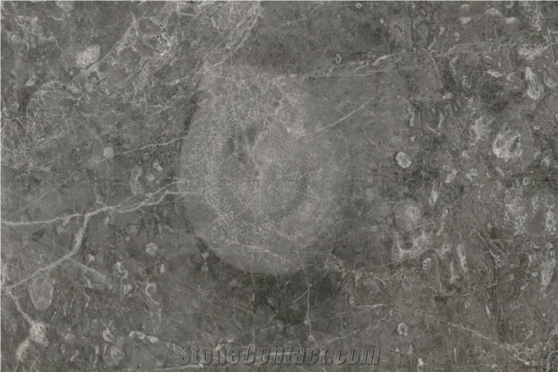 Tundra Blue Marble Tile, Turkey Grey Marble