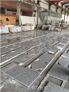 Swan White Granite Countertop, Chinese Granite Vanity Top, Grey Granite Countertop, Kitchen Countertop, Granite Worktop, Granite Tabletop, Bathroom Vanity Top