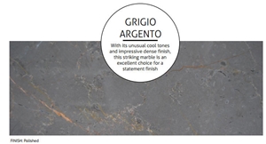 Polished Slab Of Argento Grigio from Our Cervenilla Quarry