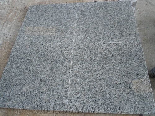Popular Chinese Light Grey Granite-G602 Slabs & Tiles, China Grey Granite
