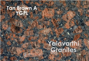 Tan Brown Granite Tiles & Slabs, Brown Granite India Tiles & Slabs
