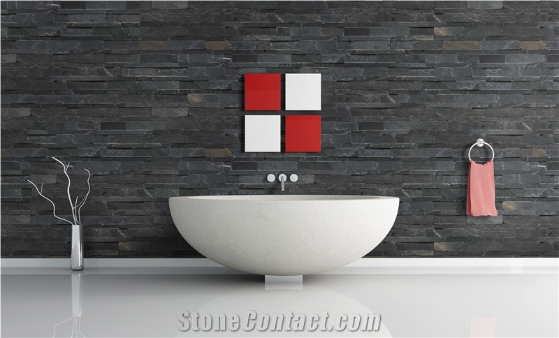 Black Quartzite Exposed Wall Stone