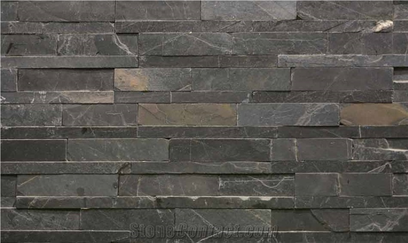 Black Quartzite Exposed Wall Stone