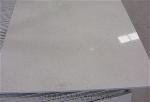Niya-China White Limestone/Seashell Coral Stone Slabs & Tiles Polishing Good Quality for Building Walling