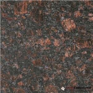 Solid Surfcace Kitchen Countertops Granite Tan Brown Island Tops