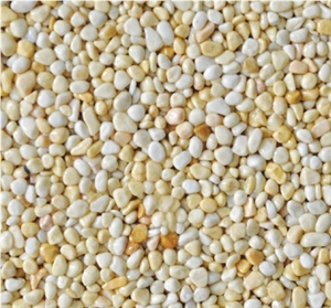 Yellow Rice Tumbled Pebbles Stone, Yellow Limestone Viet Nam Pebble & Gravel