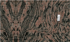 Tiger Skin Granite