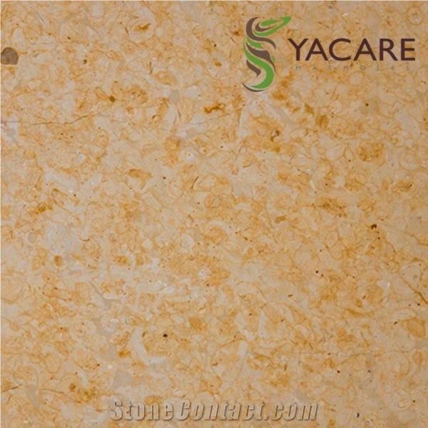Dorado Tepexi Limestone Slabs, Tiles, Yellow Limestone Tiles & Slabs Mexico