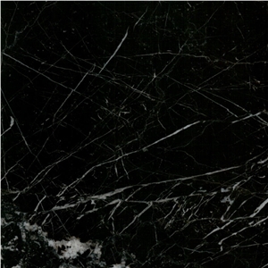 Toros Black Marble Polished