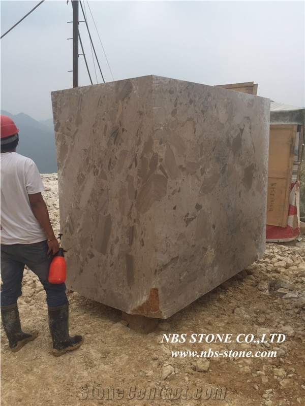 Dark Grey Fossil Brown Marble,Pakistan Brown Marble Tiles & Slabs