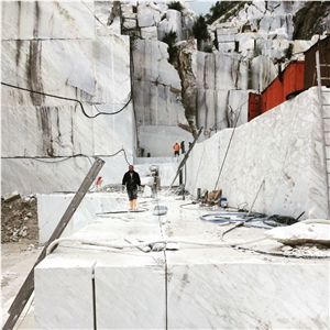 Calacatta Vagli Oro Blocks, White Marble Italy Blocks