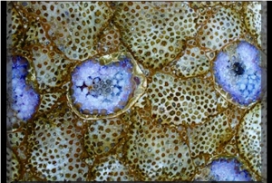 Daisy Fossil Backlit Gem Stone,Semi Precious Stone Slabs&Tiles,Yellow Semi Precious Wall Panel,Indoor Decor Wall Covering/Interior Decoration for Kitchen