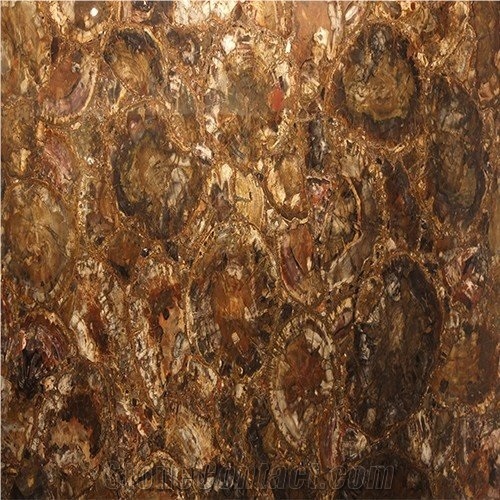 Round Petrified Wood Gem Stone Slabs & Tiles,Semi-Precious Tiger Slabs,Brown Tiger Gem Stone for Wall Panel/Kitchen Counter Top