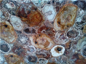 Wood Fossil Brown Semiprecious Stone Slabs & Tiles,Brown Semi Precious Stone Panel for Making Indoor Counter Top