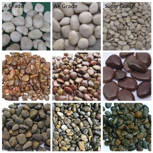 Yellow Polished Pebble Stone for Garden Decoration and Landscaping