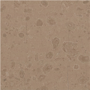 Classic Beige Moired Marble Tiles, Slabs, Beige Marble Turkey Tiles & Slabs
