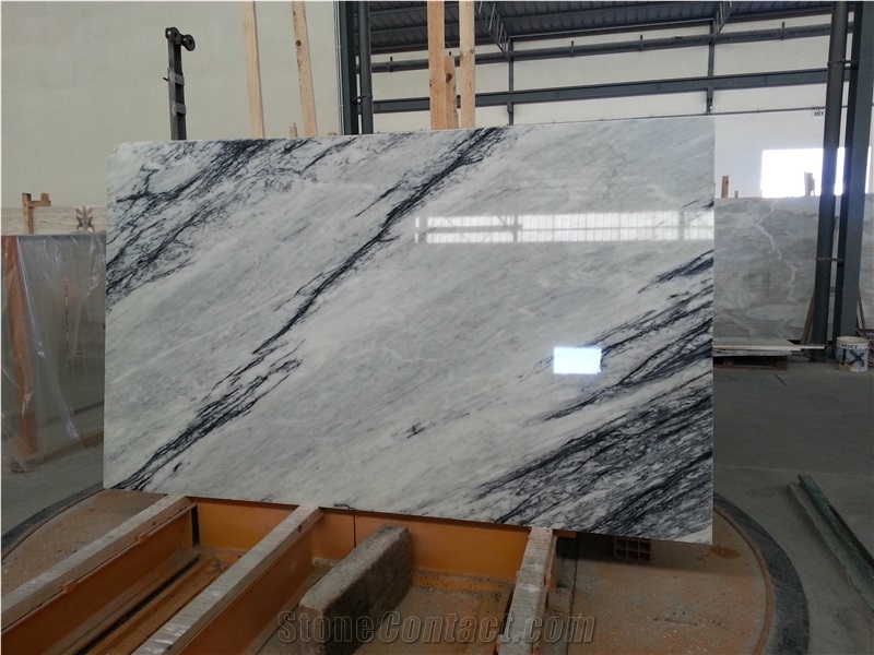 Dynossaurus Marble Slabs