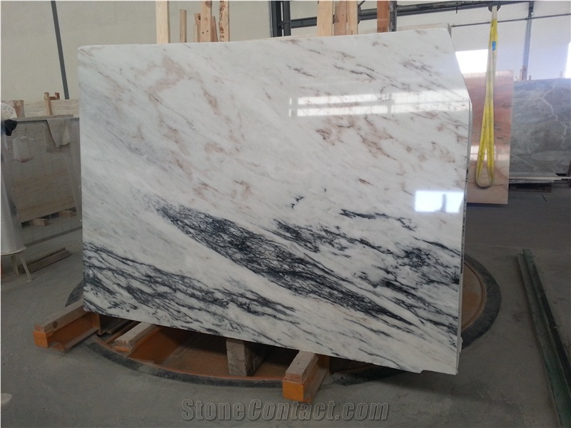Dynossaurus Marble Slabs