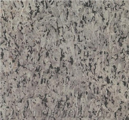 Jinsui Grey Grain Granite Slabs & Tiles, China Grey Granite