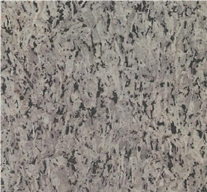 Jinsui Grey Grain Granite Slabs & Tiles, China Grey Granite
