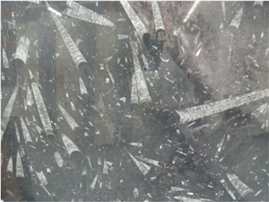 Brown Fossil Limestone Slabs & Tiles,Polished & Honed,For Decoration