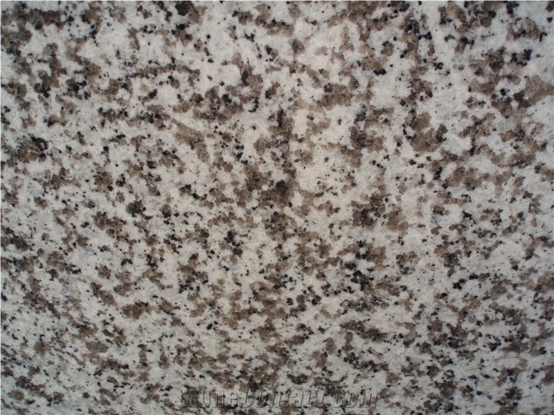 China Granite G439 Granite Tile White Granite, Big White Flower Puning Granite Slabs & Tiles