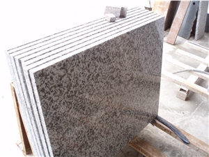 China Granite G439 Granite Tile White Granite, Big White Flower Puning Granite Slabs & Tiles