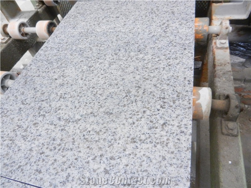 Best Shandong White Granite Tiles & Slab Flooring Shandong White Flooring China Quarry Owner