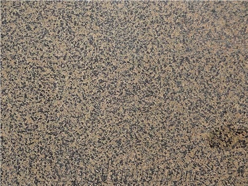 Cheap Brown Granite Flooring Tile Chocolate Brown Granite Tiles China Quarry Owner